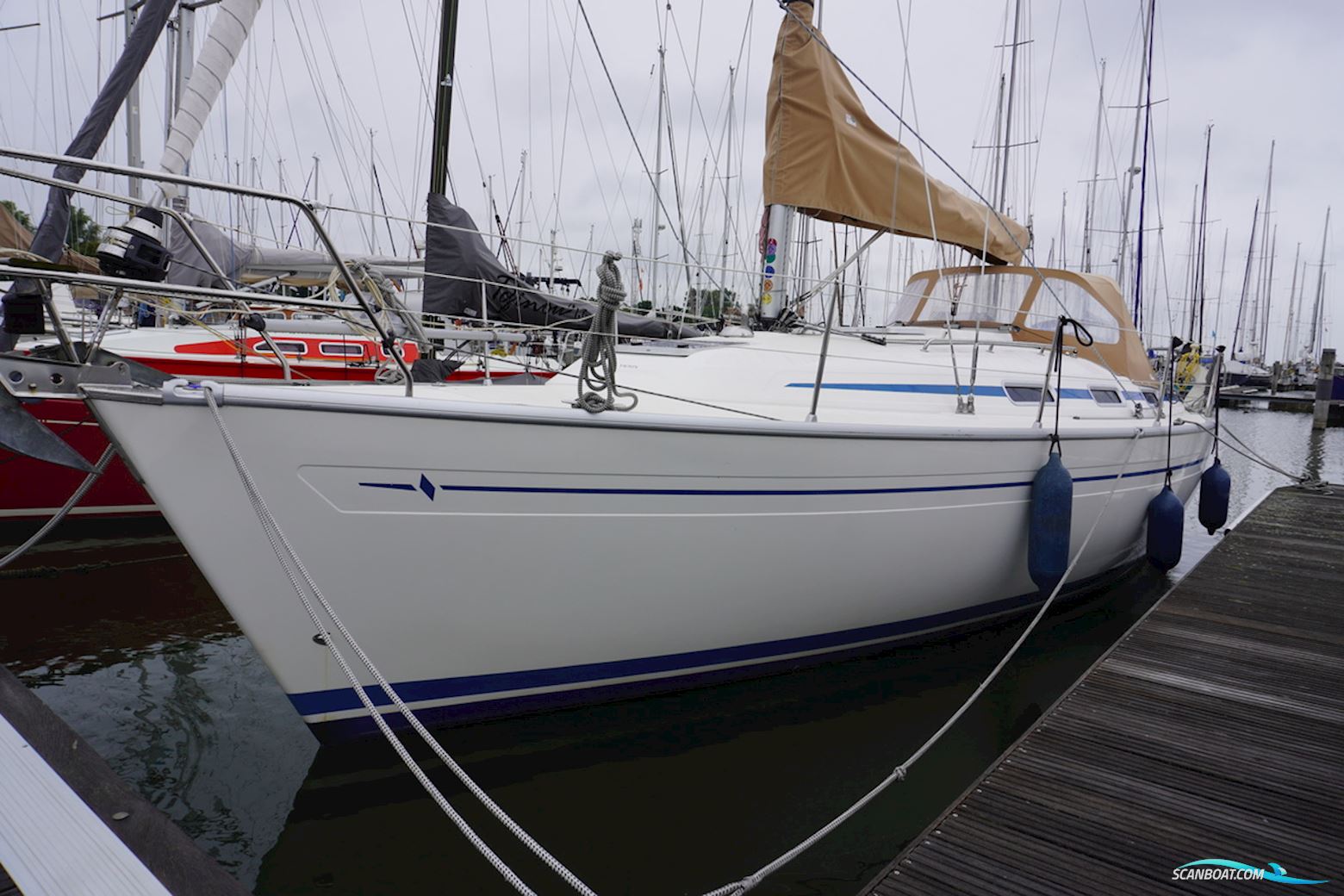 Bavaria 36-3