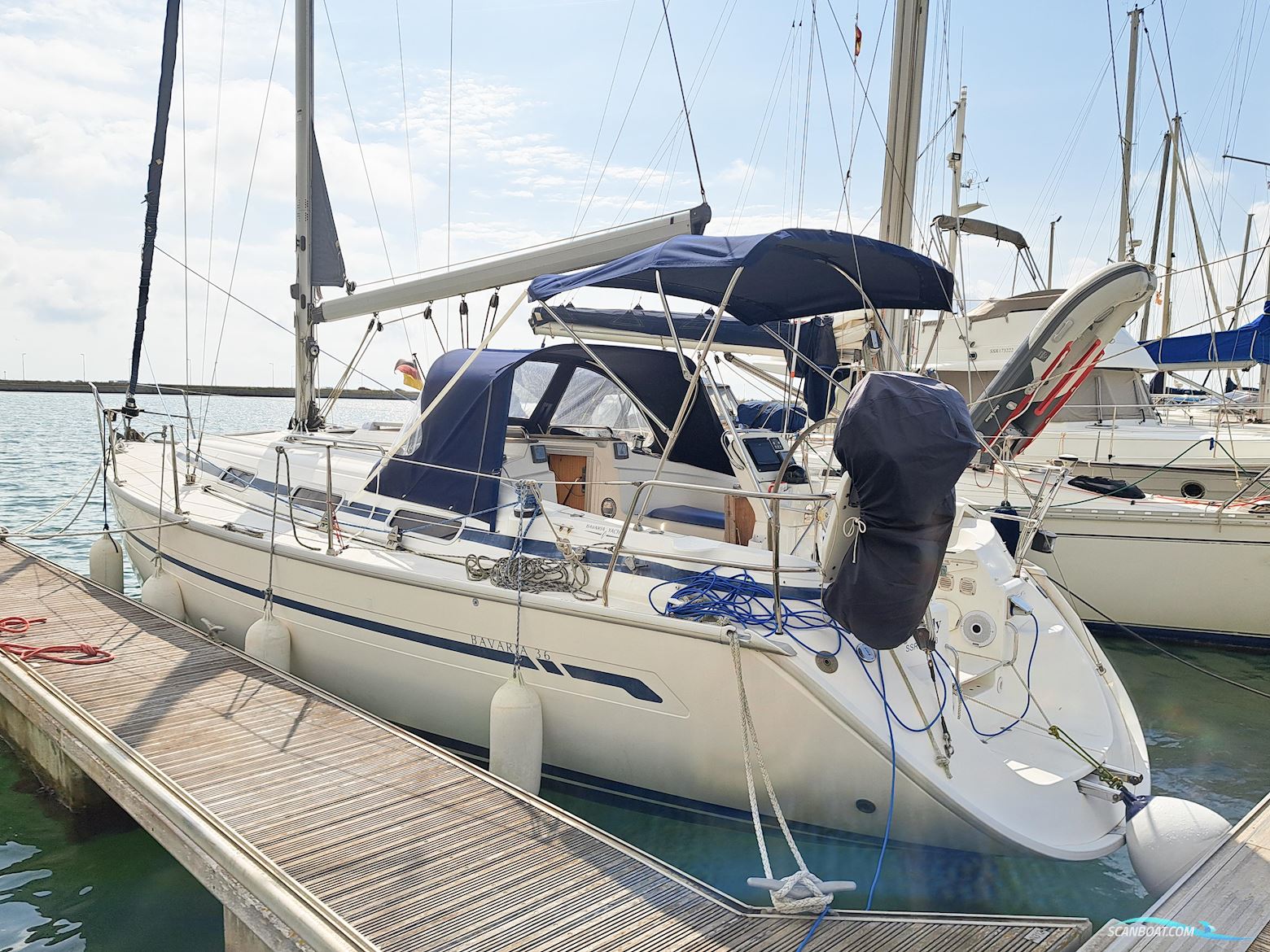 Bavaria 36