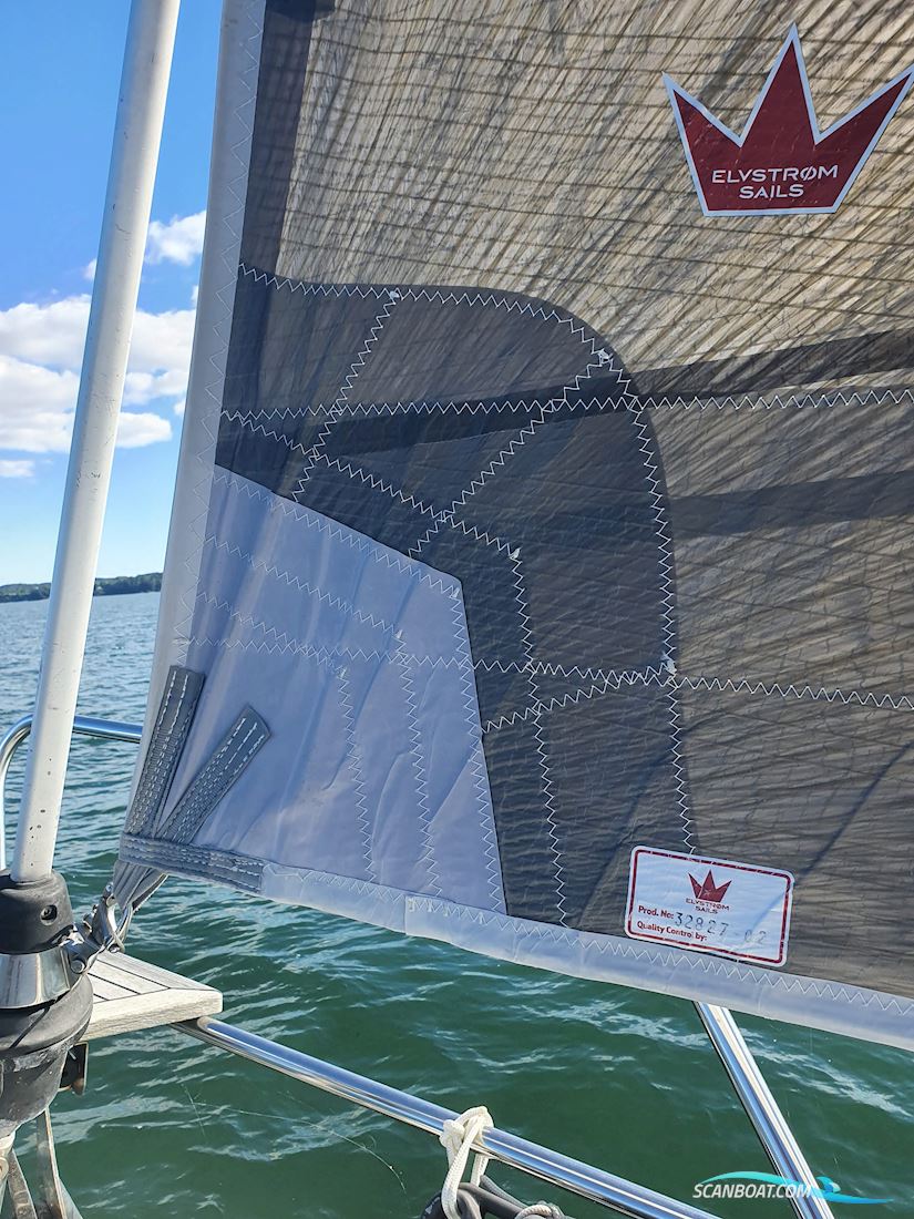 Bavaria 38-3