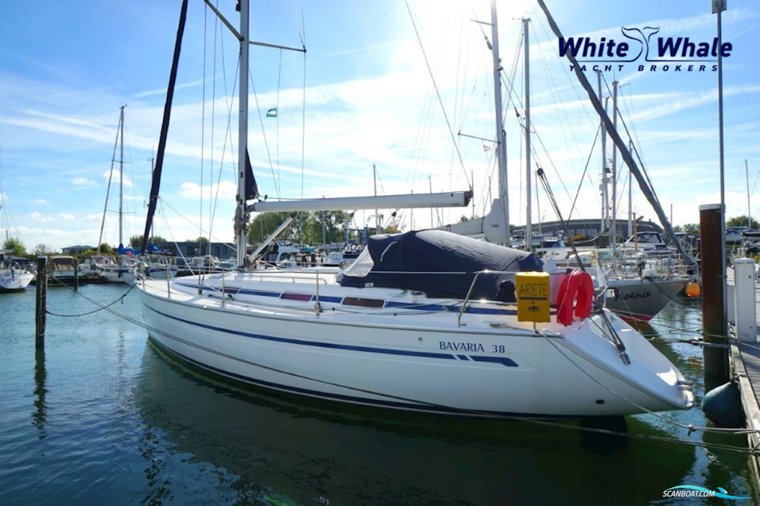 Bavaria 38-3