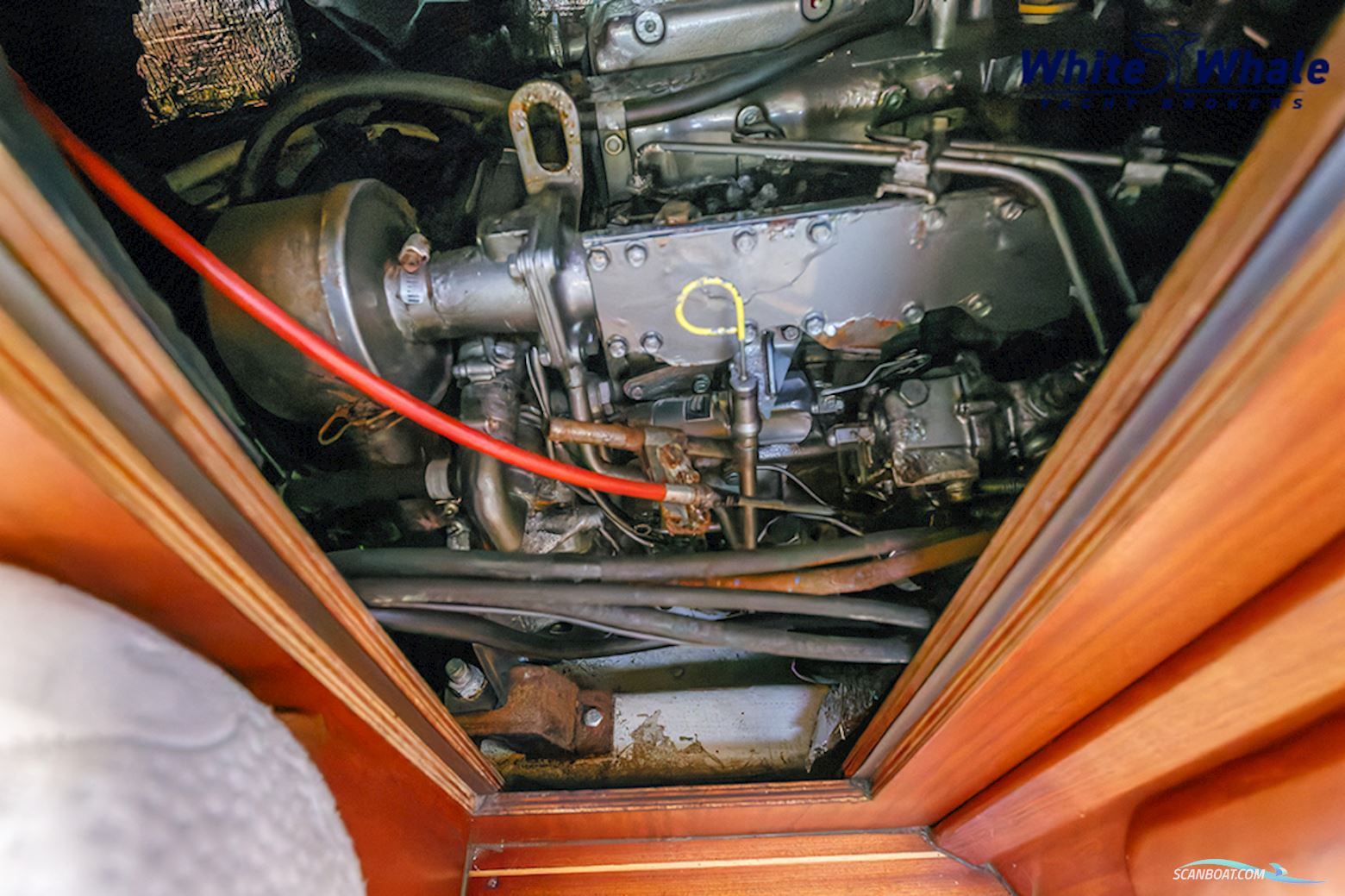 Bavaria 44 Exclusive