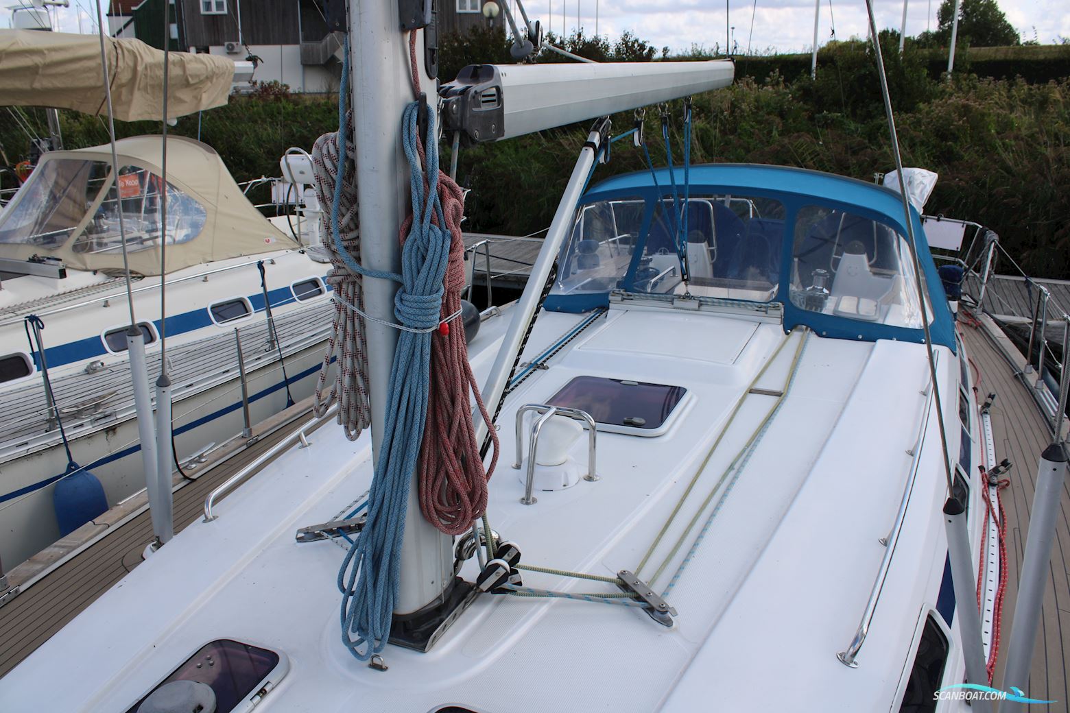 Bavaria 44