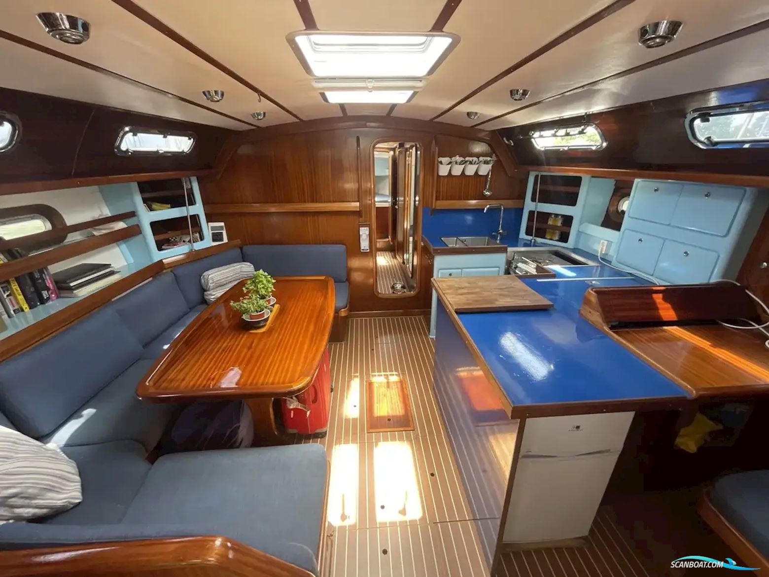 Bavaria 50