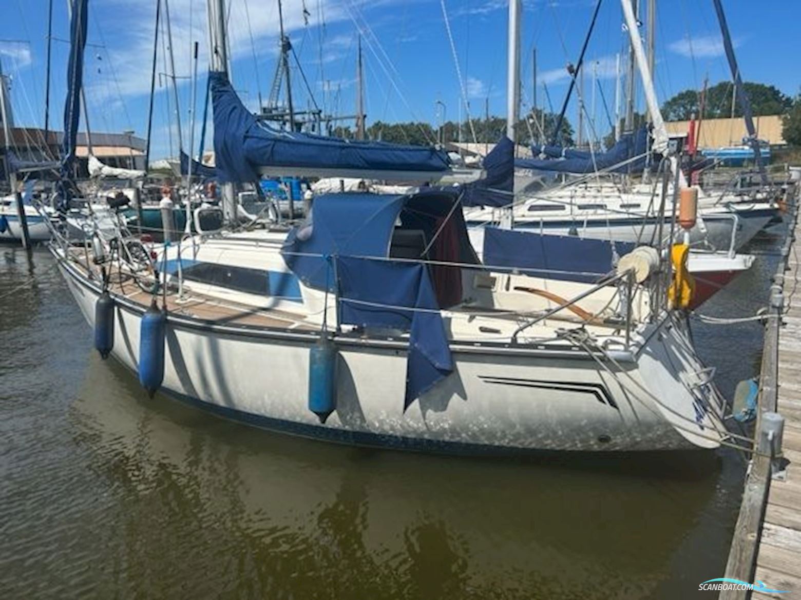 Bavaria 820 Sejlbåd 1983, med Volvo MC5C motor, Holland