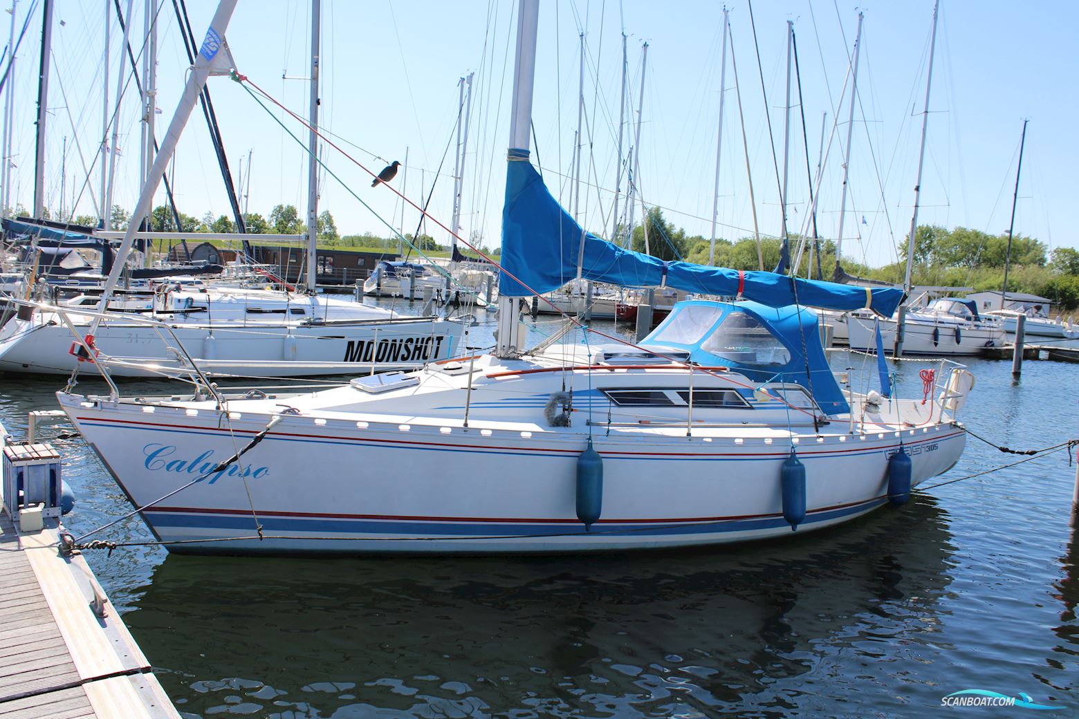 Beneteau 30.5 First