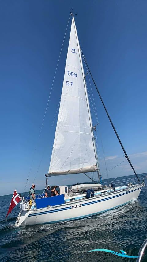 Bianca 111