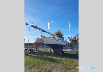 Bianca 27 Motorsejler Sejlbåd 2024, med Bukh DV10 motor, Danmark