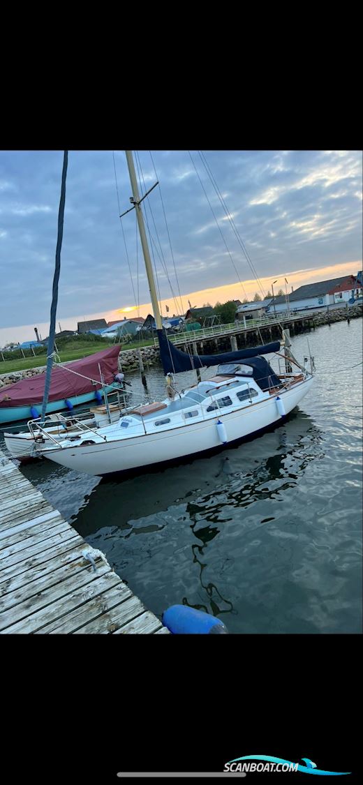 Bianca 27