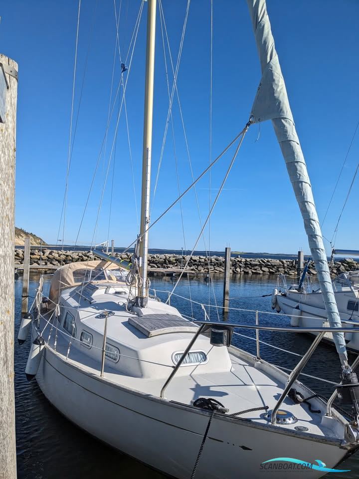Bianca 27 Sejlbåd 1972, med Yanmar 2GM20F-EU motor, Danmark
