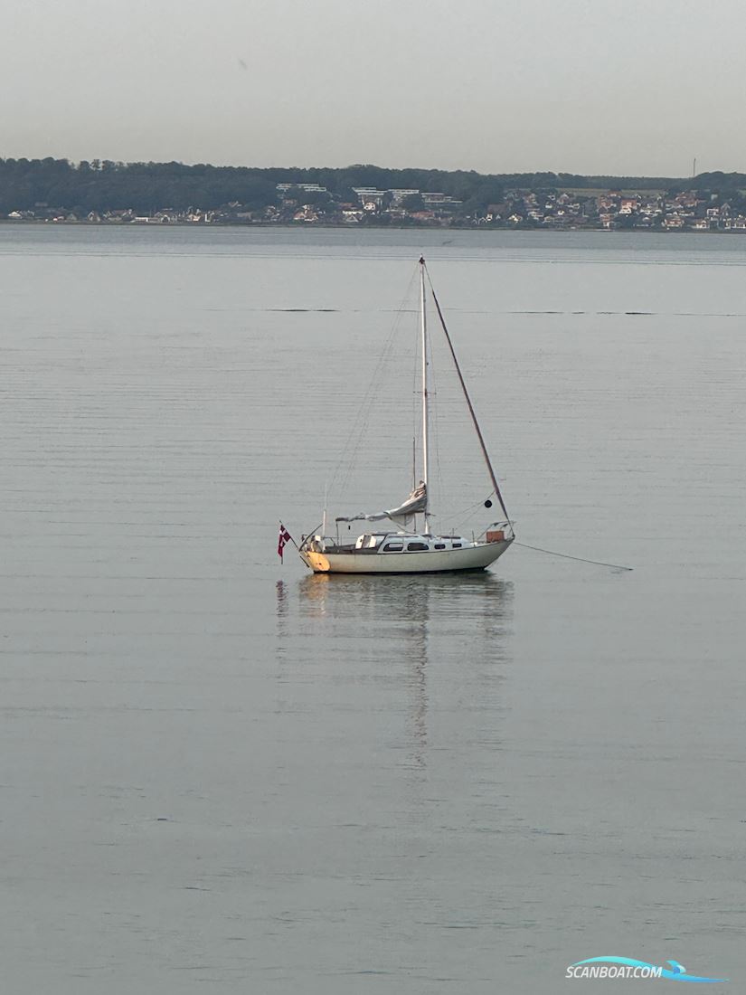 Bianca 27 Sejlbåd 1965, Danmark