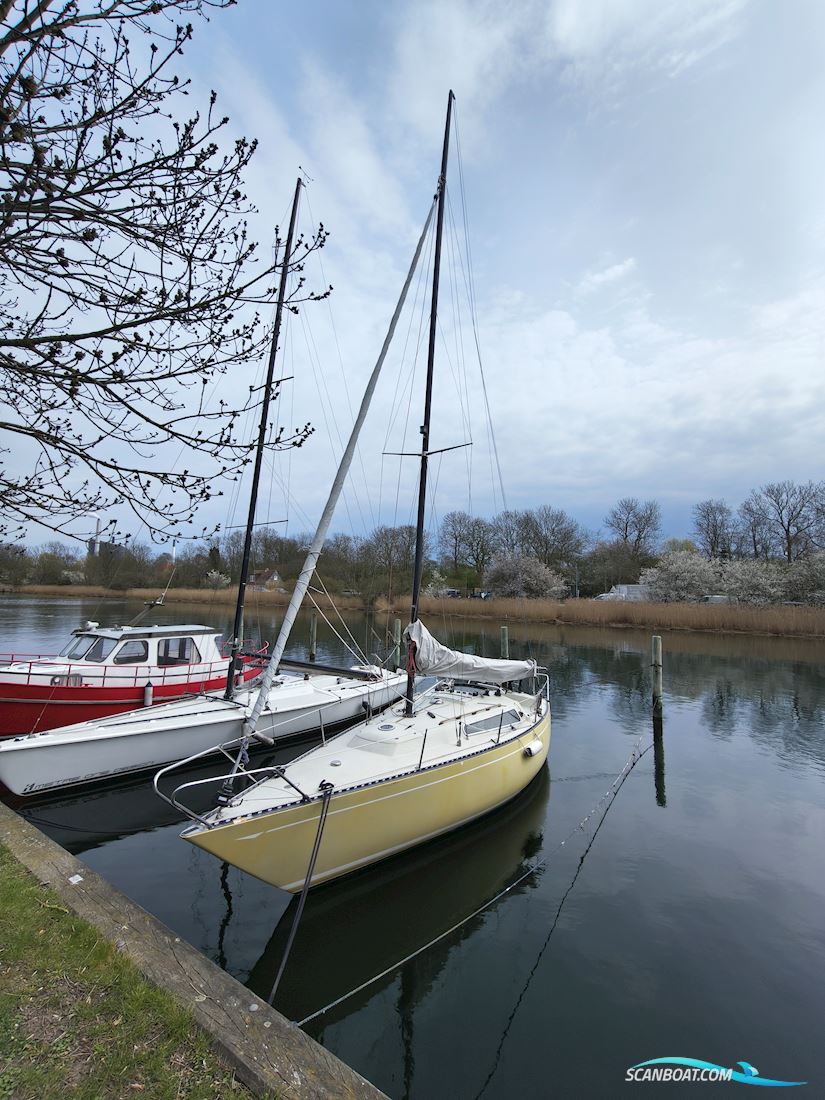 Bianca 28 Sejlbåd 1975, med Volvo Penta MD5 motor, Danmark