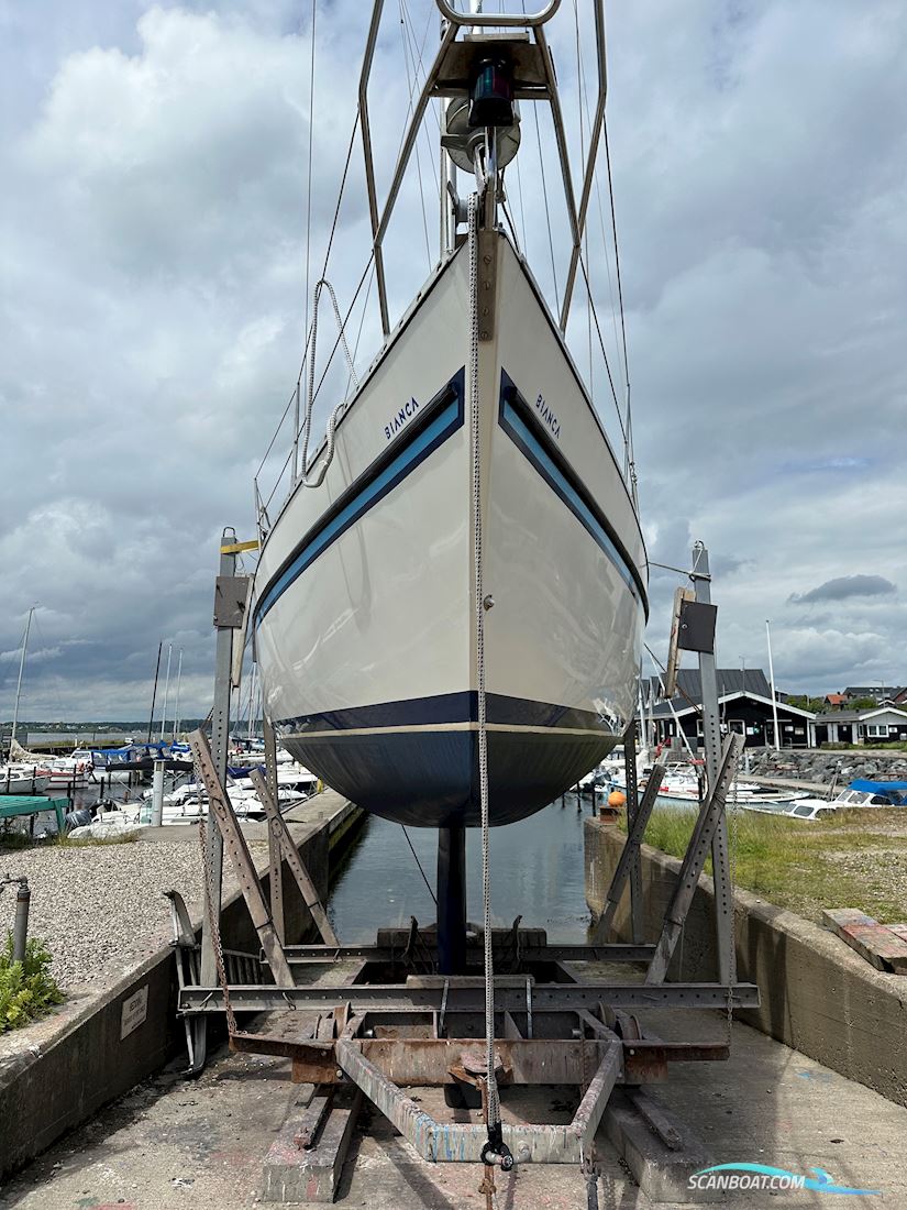 Bianca 320