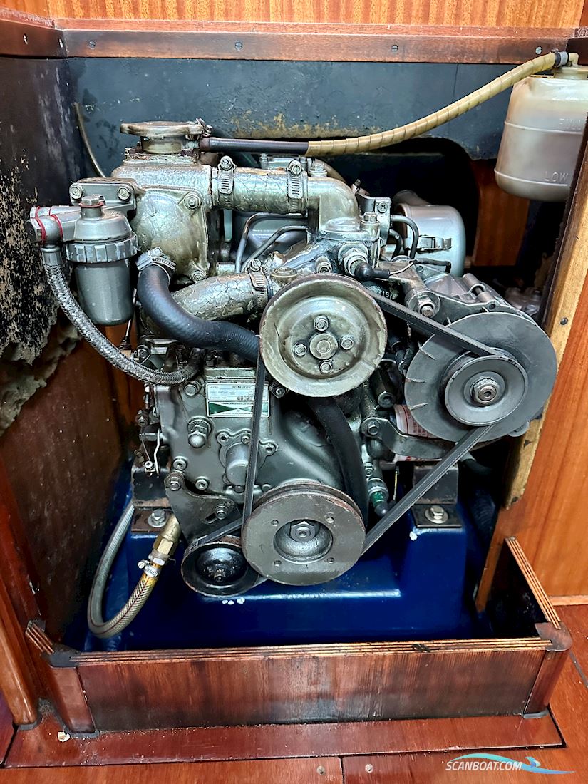 Bianca 320