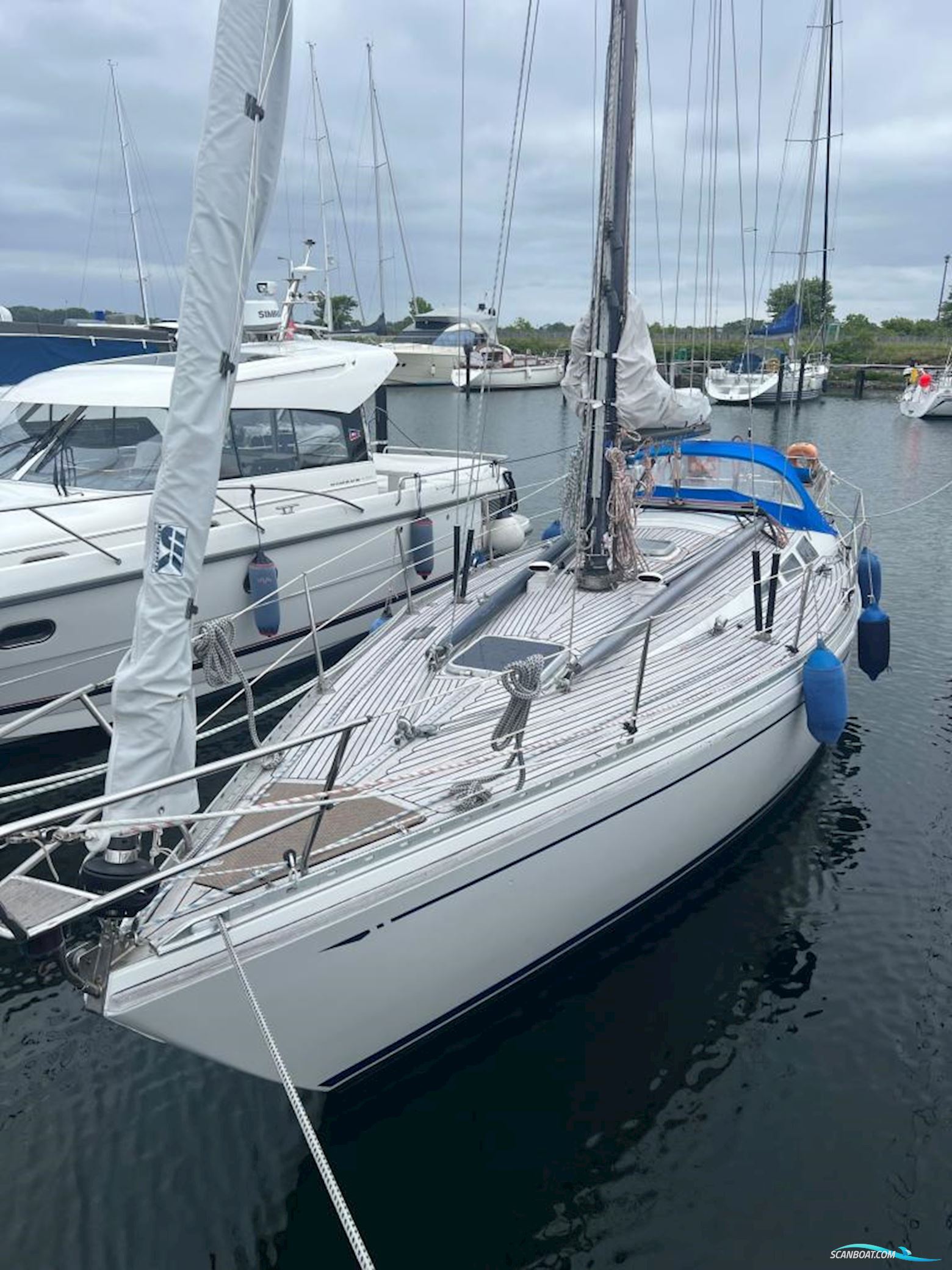 Bianca 36