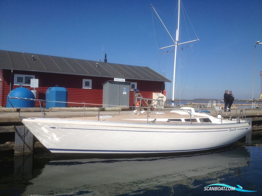 Bianca 36