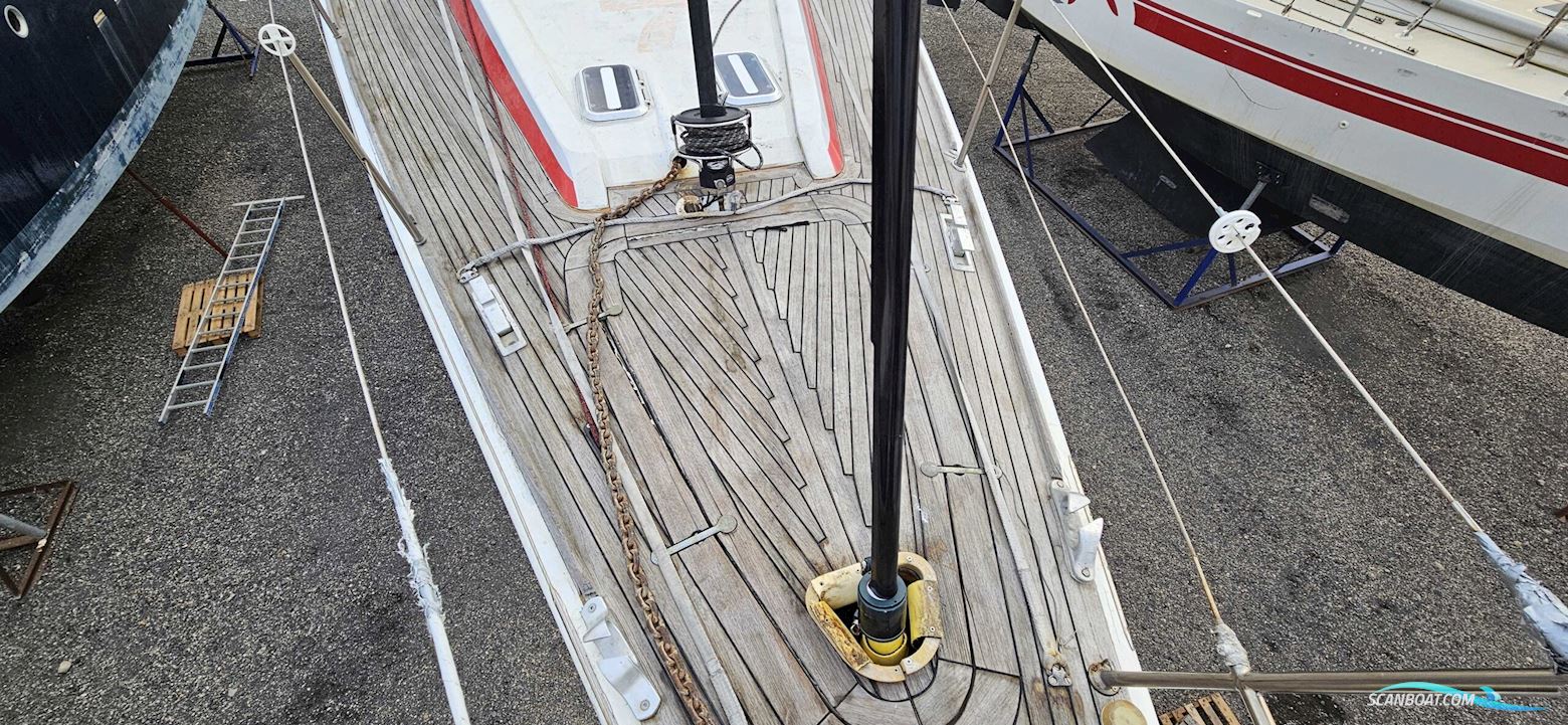 BIANCHI Berret-Racoupeau