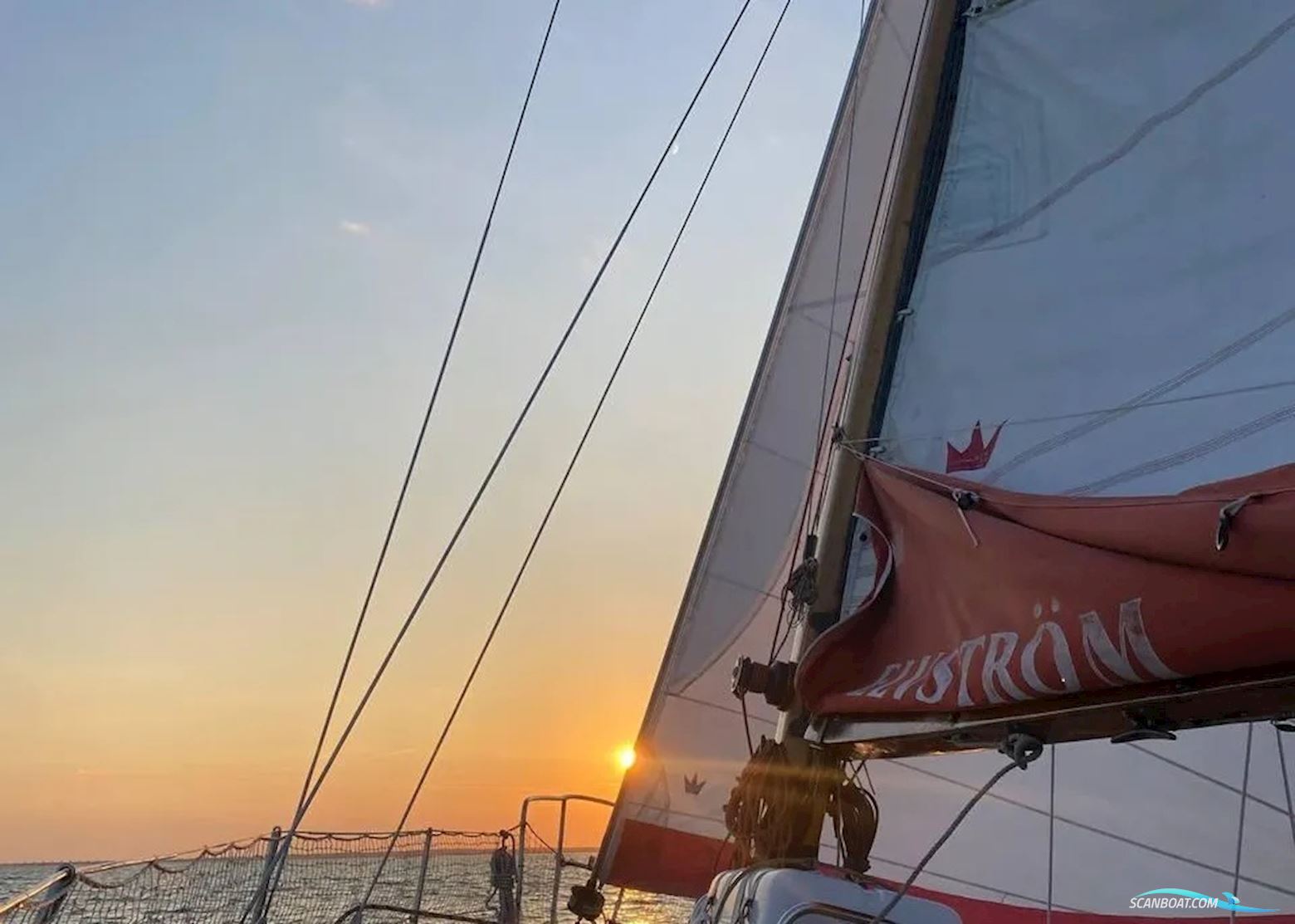 Blauwvoet Custom Steel 10 Meter