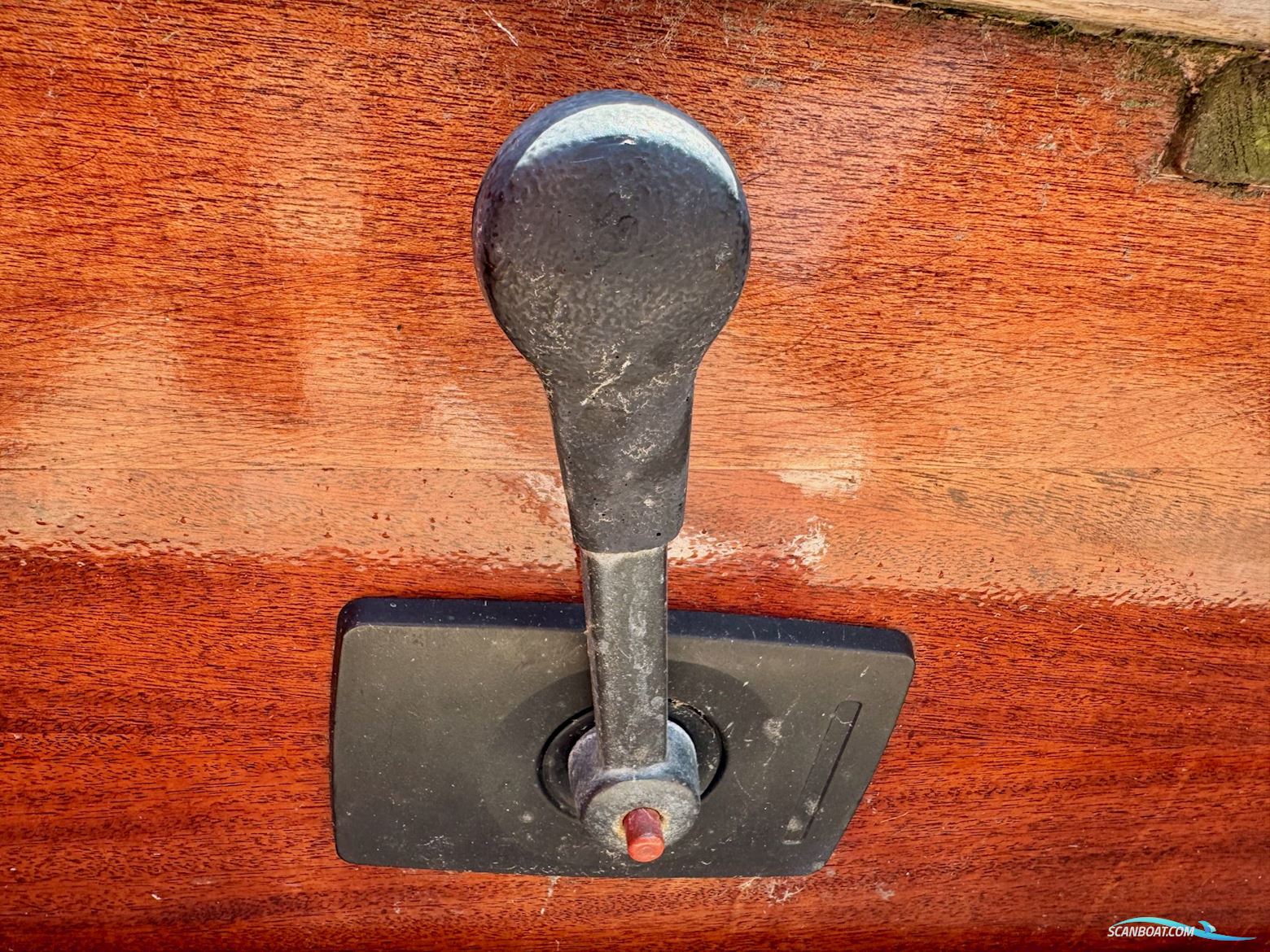BM Family
