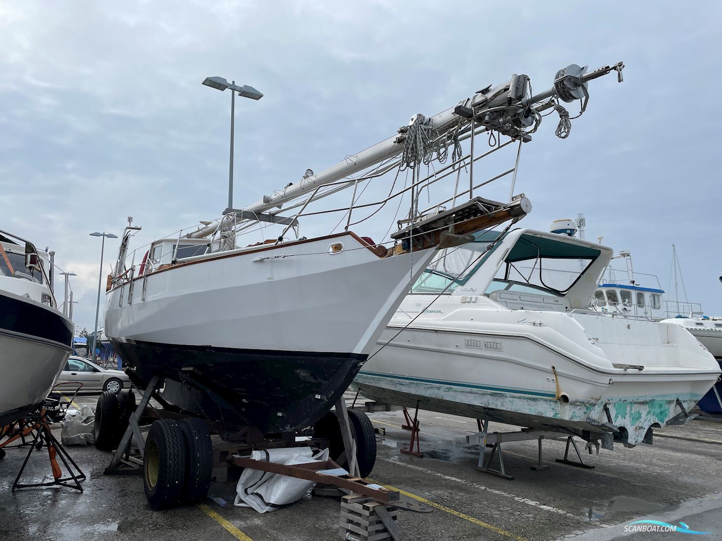 Bruce Roberts Spray 33