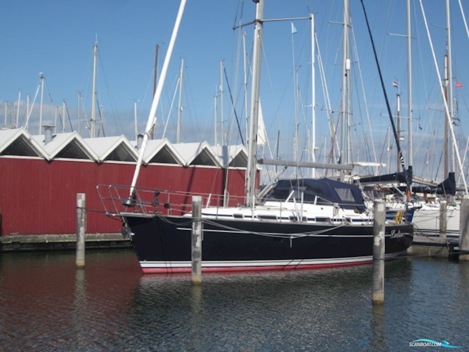 C-Yacht C-12.50