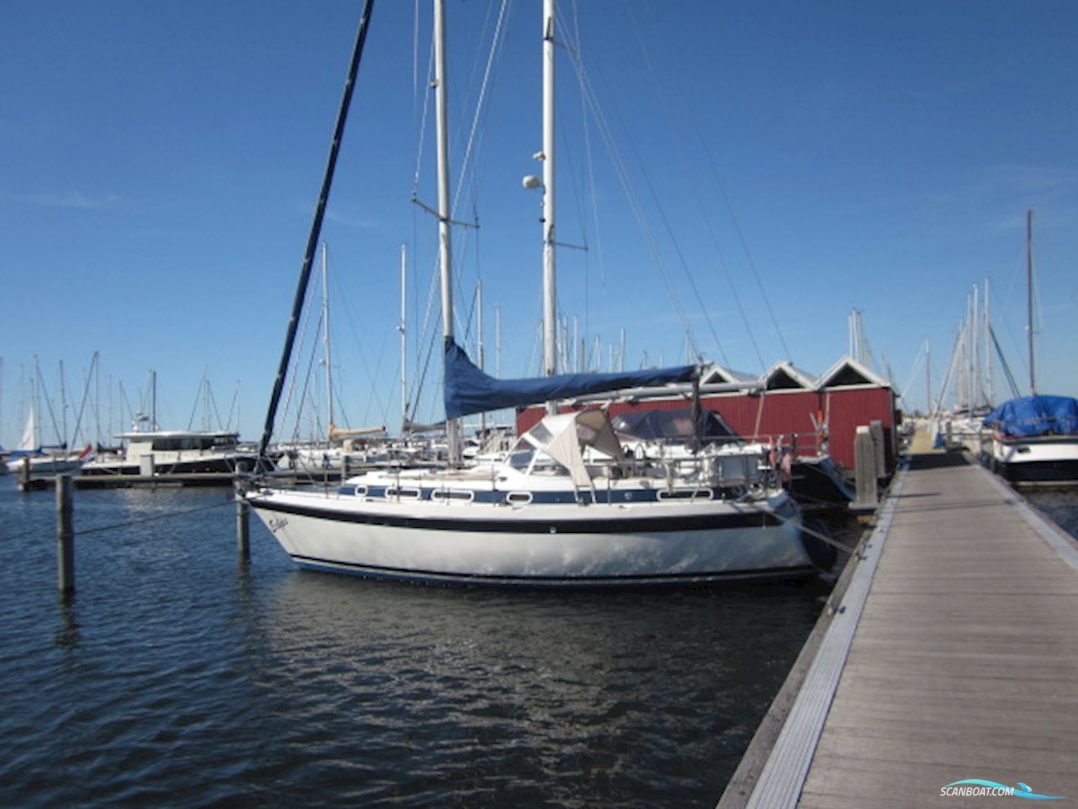 C-Yacht C999