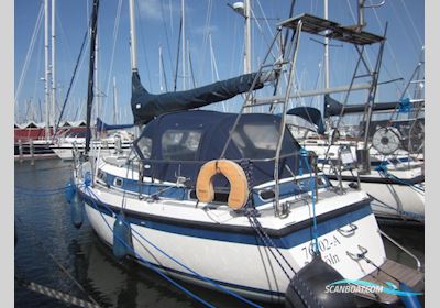 C-Yacht Compromis C999 Sejlbåd 1992, med Yanmar 3GM30 motor, Holland