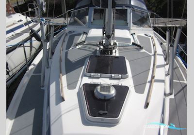 C-Yacht Compromis C999 Sejlbåd 1992, med Yanmar 3GM30 motor, Holland