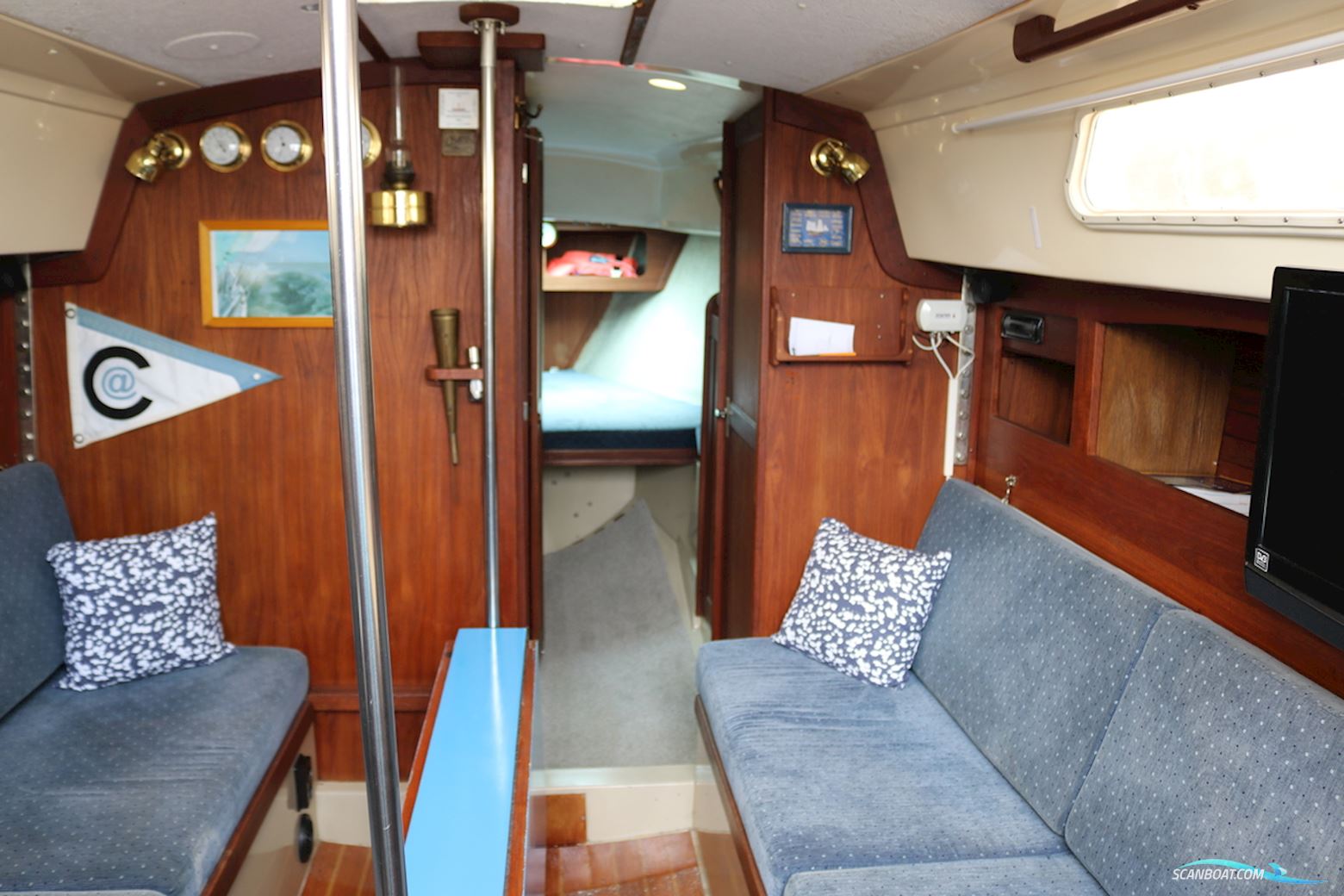 Cal 31