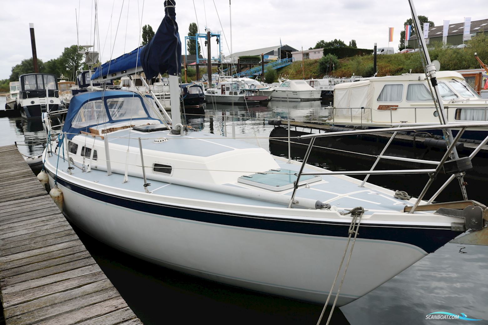 Cal 31