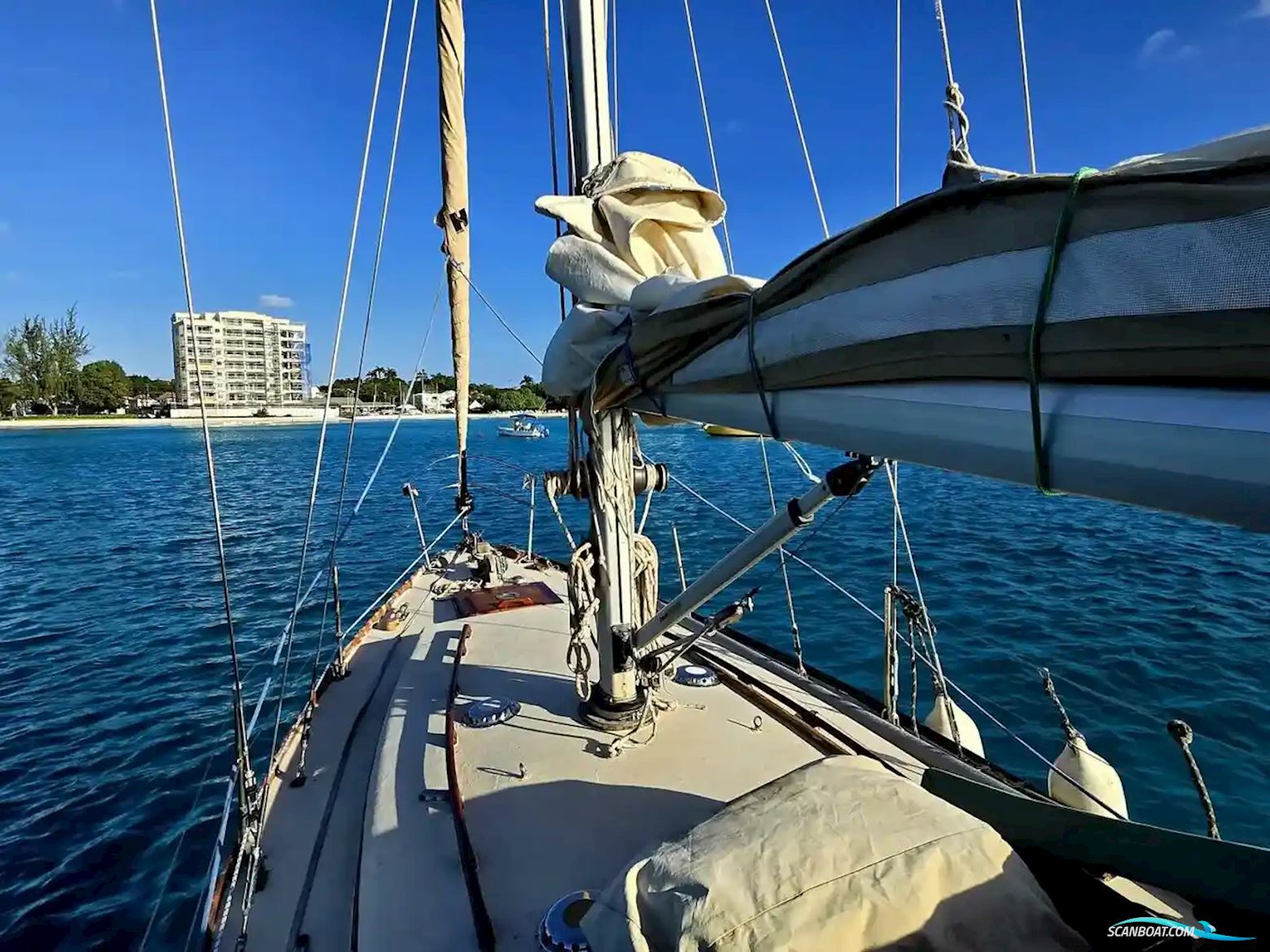 Camper & Nicholson 36