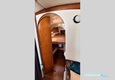 Camper & Nicholson Nicholson 33 Sejlbåd 1976, med Yanmar motor, Spanien
