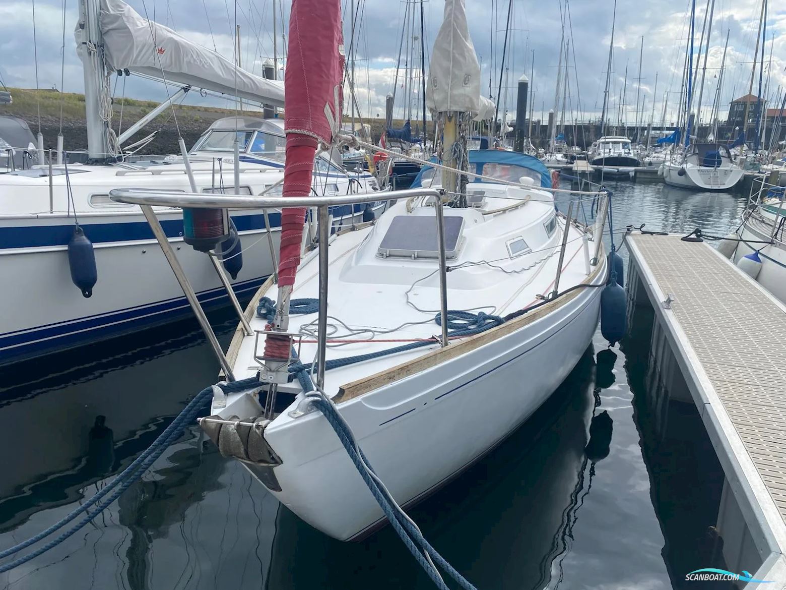 Camper & Nicholsons 31