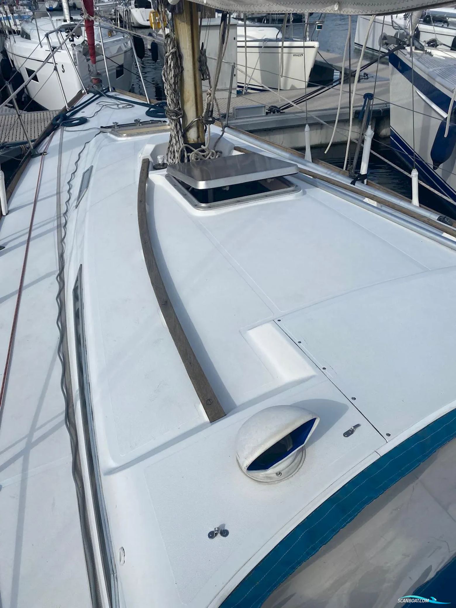 Camper & Nicholsons 31