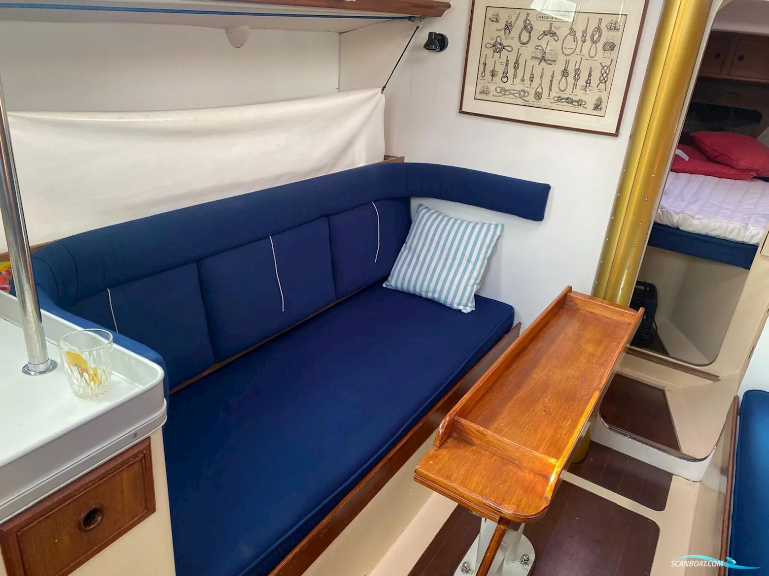 Camper & Nicholsons 31