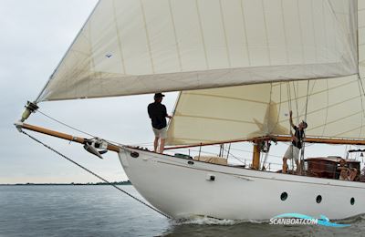 Cantiere Navale Postiglinio San Domenico Sejlbåd 1936, med Volvo Penta motor, Holland