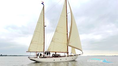 Cantiere Navale Postiglinio San Domenico Sejlbåd 1936, med Volvo Penta motor, Holland