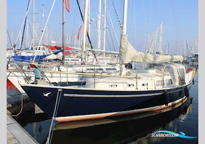 Carena 35 Sejlbåd 1974, med Mercedes OM 636 motor, Holland