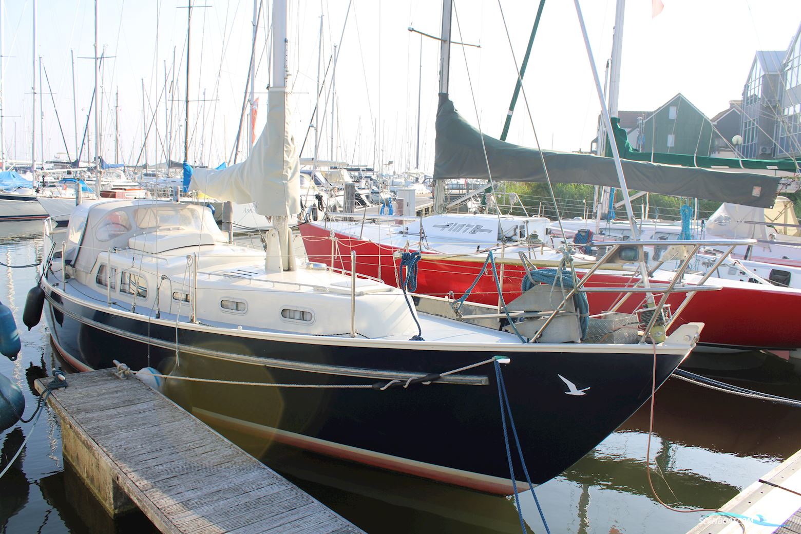 Carena 35