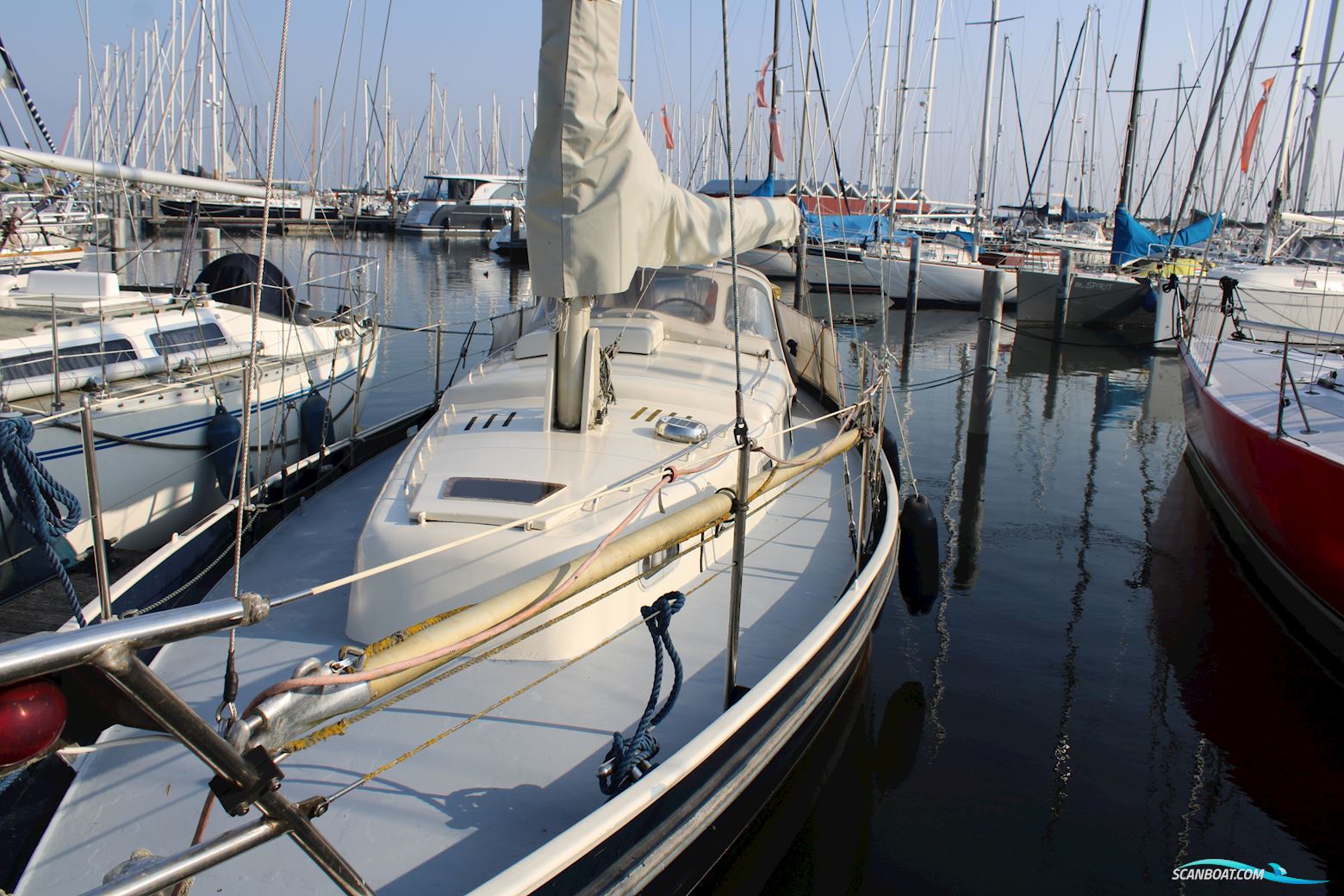 Carena 35