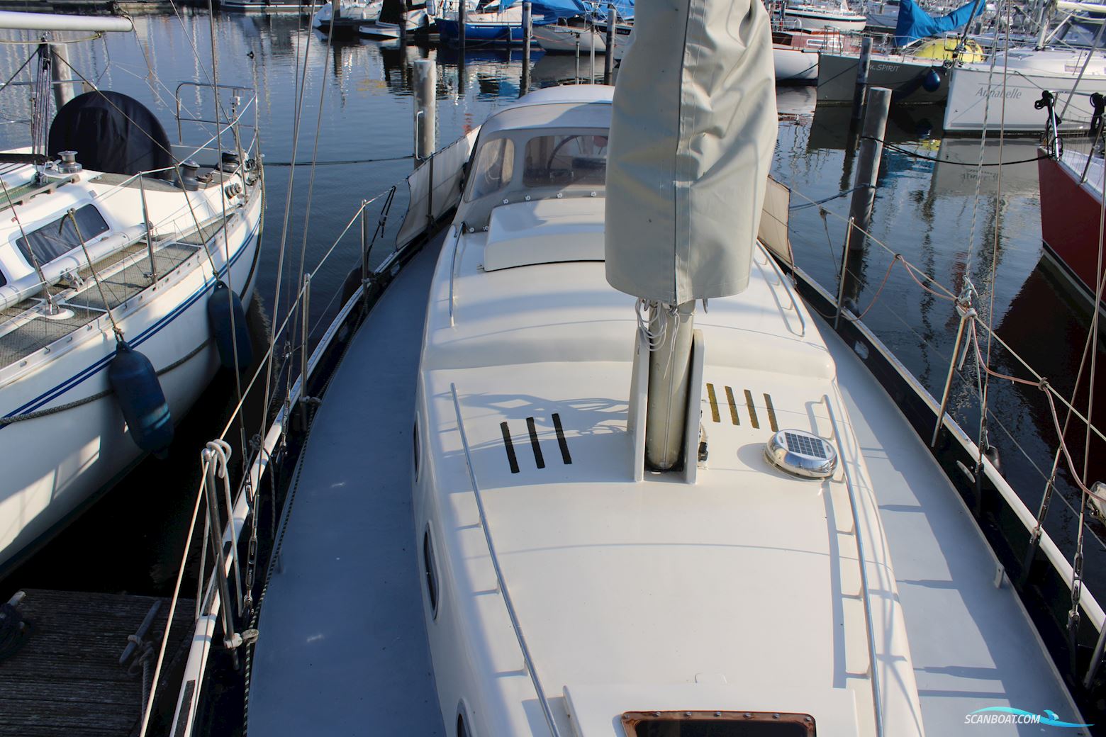 Carena 35