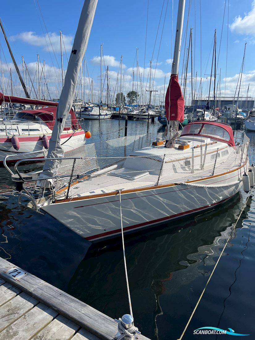 Carter 30 Sejlbåd 1980, med Volvo Penta D1-13 motor, Tyskland