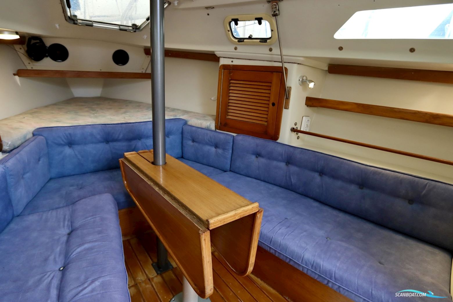 Catalina  270