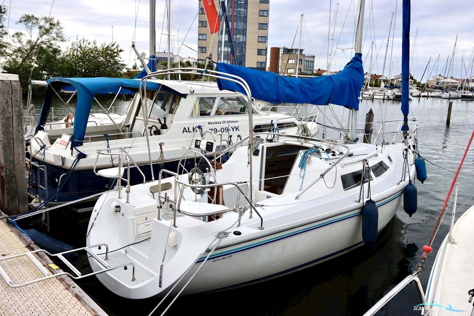 Catalina  270
