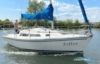 Catalina  270 Sejlbåd 1994, Holland