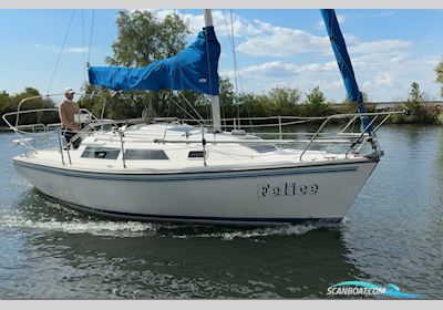 Catalina 270 Sejlbåd 1994, Holland