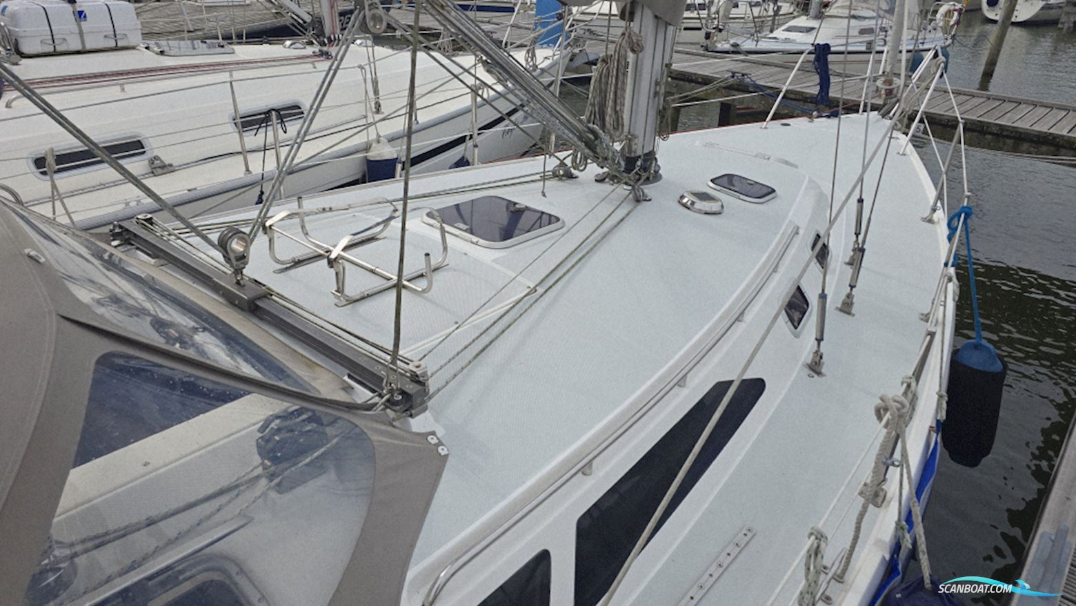Catalina 36