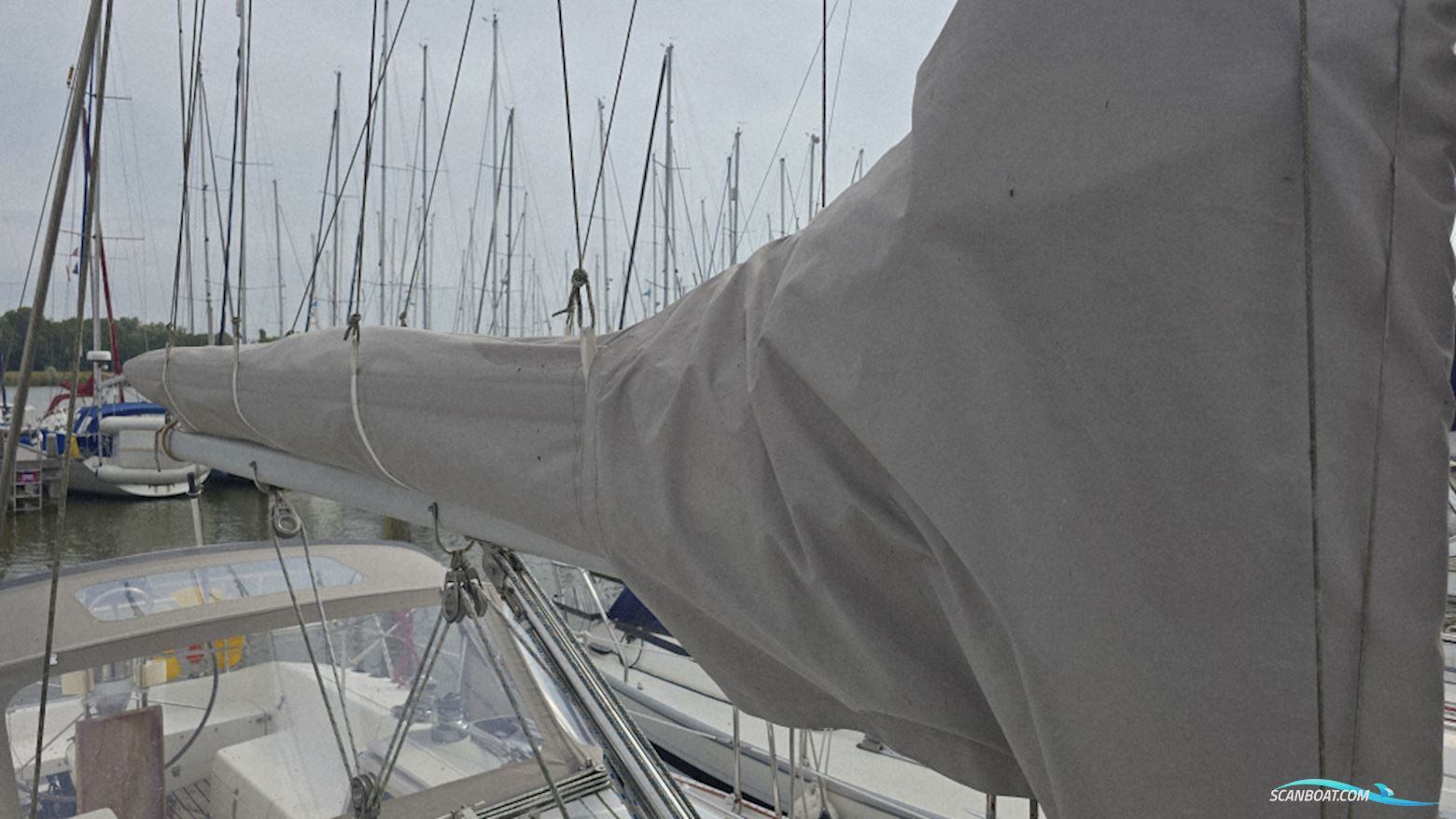 Catalina 36