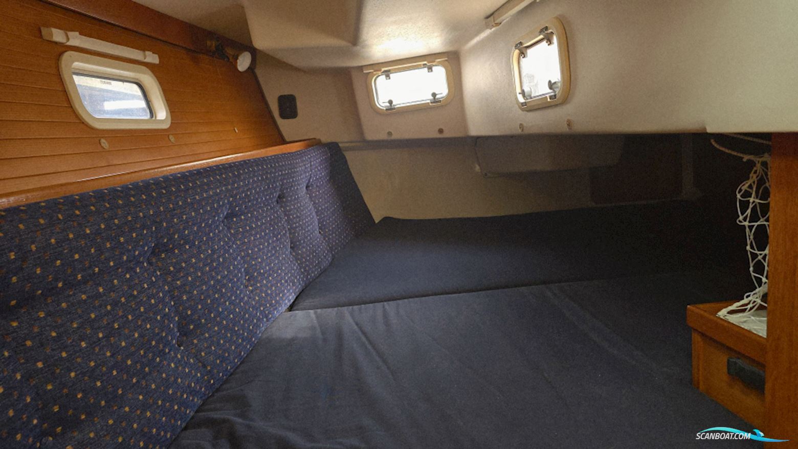 Catalina 36
