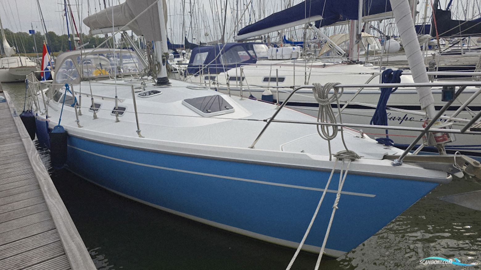 Catalina 36 Sejlbåd 1996, med Universal motor, Holland