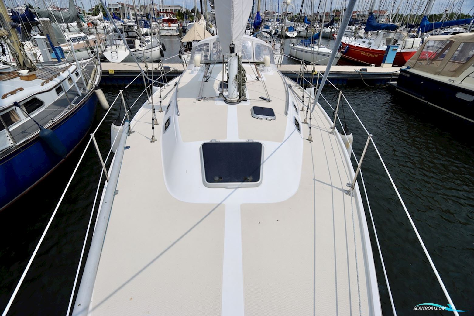 Catalina 36